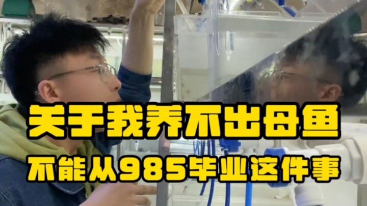 On Why My Gay Vibes Are So Strong That I Couldn’t Graduate from a 985 University