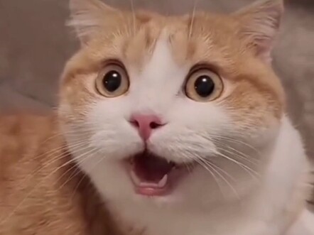 这种鬼屋跟阎王殿有什么区别