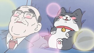 【أكتوبر/كانا هانازاوا】 العمة التي تحولت إلى قطة الحلقة 6 【فريق MCE للترجمة الصينية】