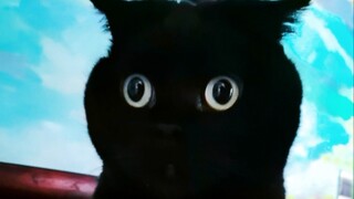 Finally found a trick to deal with the invisible cat!