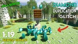 Minecraft: Working Duplication Glitches 1.19