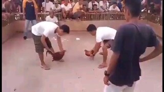 Fastkill Texas vs Imported ang kabalan (panalo samin Yong Pula ).