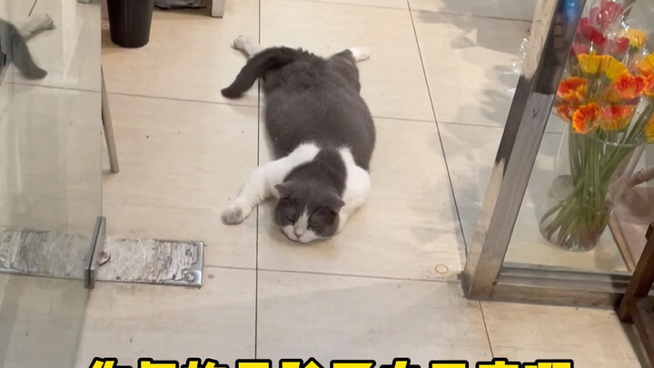 Seluruh mal ini benar-benar dikosongkan untuknya.