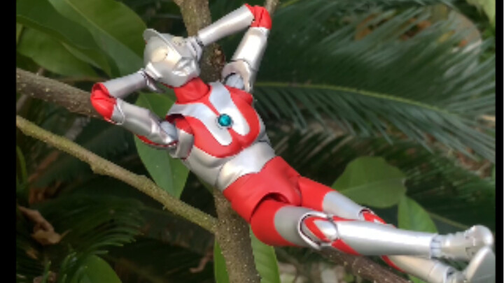 Ultraman: Đó là một ngày nắng đẹp và dễ chịu Jayden: Manisan, xin hãy giúp tôi một tay. Tôi thậm chí