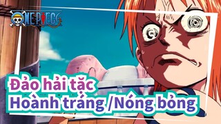 [Đảo hải tặc ] Đây là video Nami Đánh những kẻ khác| Hoành tráng /Nóng bỏng