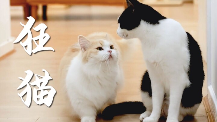 "Kakak, aku bawa ikan buat kamu!"