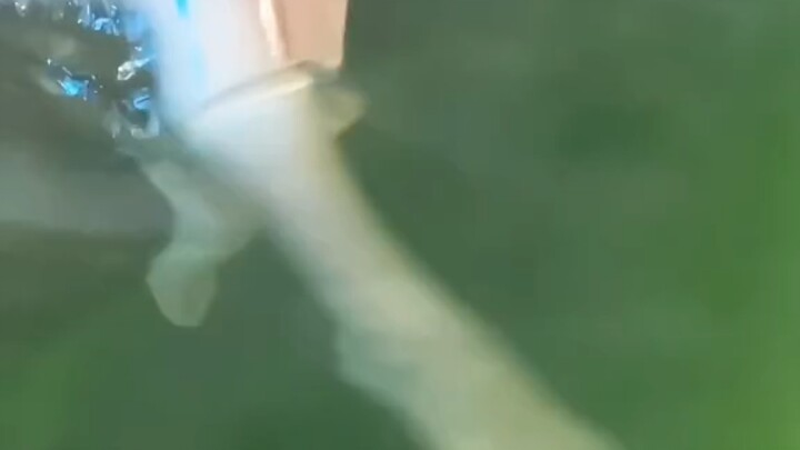 在烟雾中遇见玫瑰