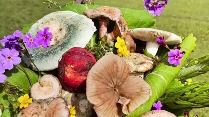 After watching the “I can’t get out…” versions from across the country, I’m still utterly swept away