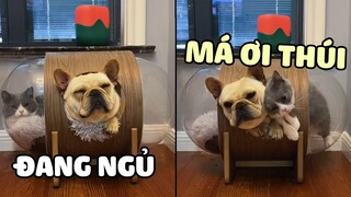 Khi Phải Ở Chung Với Trùm Đánh Rắm, Thối Không Chịu Được 😂 | Yêu Lu
