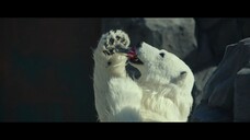 K-Movie "S3cr3t Z00" (2020)
