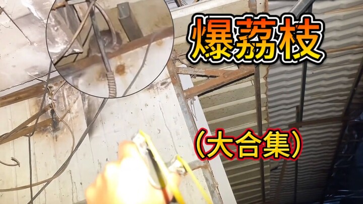 老鼠荔枝被打爆合集，隔着屏幕我都觉得痛！