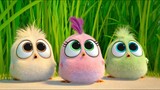 [AMV]Tiga burung kecil yang menggemaskan di <Angry Birds>