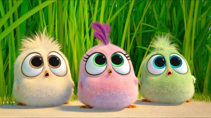 [AMV]Ba chú chim nhỏ đáng yêu trong <Angry Birds>