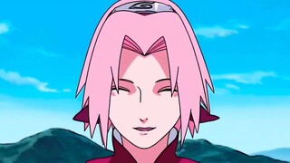 𝚜𝚊𝚔𝚞𝚛𝚊 𝚑𝚊𝚛𝚞𝚗𝚘 𝚝𝚠𝚒𝚡𝚝𝚘𝚛 𝚌𝚌🌸💗