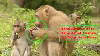 Million Love, Rose Your Activity Look Like A Doctor, She Always Be With Janet And Heal Her Hands