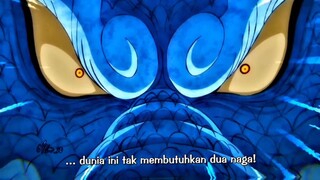 kaido lupa ada naga lain di one piece