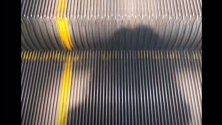 #Chữa lành# Nhìn kìa, ánh sáng đang nhảy múa nè