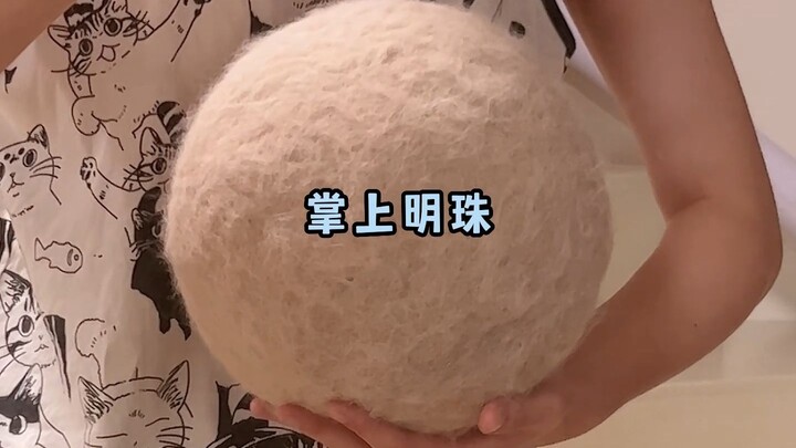 เผื่อคุณไม่รู้ว่าขนแมว 573.8 กรัมมีปริมาณเท่าไหร่