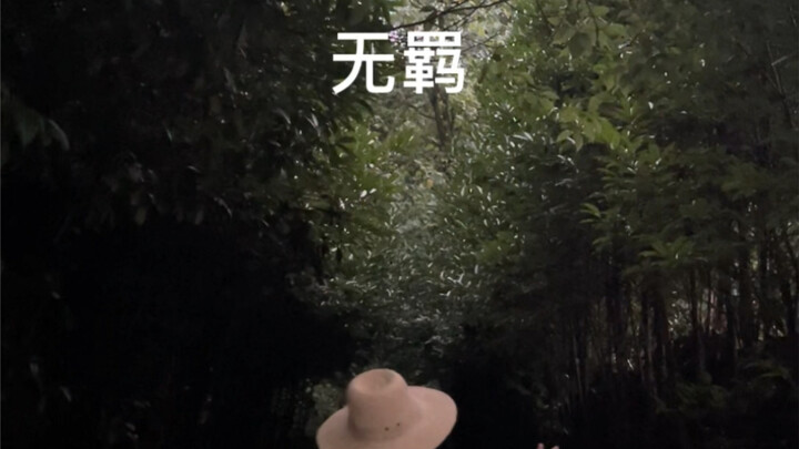 ไร้พันธนาการ