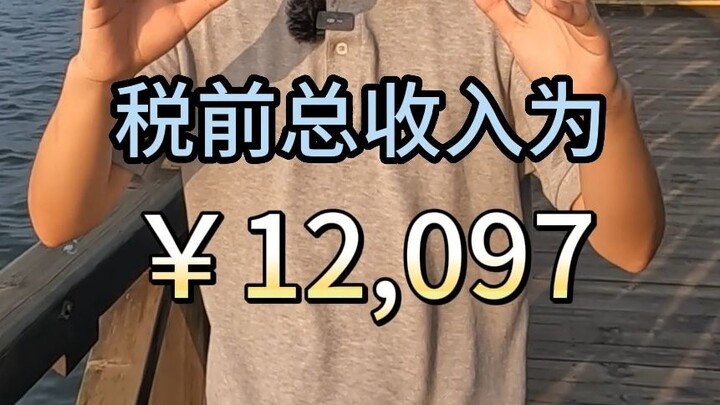 A report to all netizens and shareholders on my earnings across the entire internet — Hu Chenfeng’s 