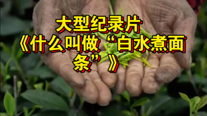 The blockbuster documentary “What Is ‘Plain Boiled Noodles’?” is still streaming for you!