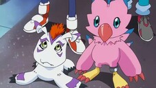 Digimon Adventure 1 Dub Indo - 11