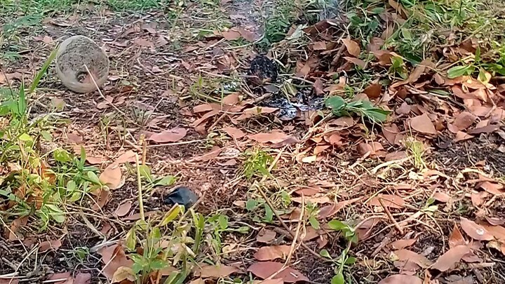 ang among palibot #nativehouse#bamboohouse