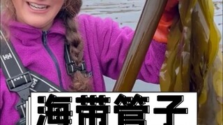 海带管子为什么国内买不到？