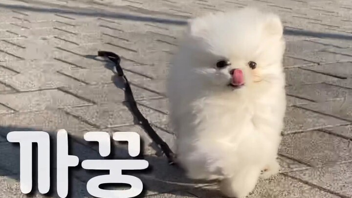 บันทึกการออกสู่โลกภายนอกของน้องถั่วตัวน้อย