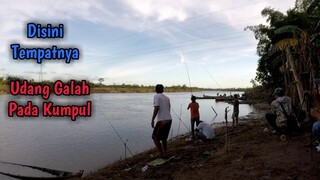 Seruu Broo!! Mancing Udang Galah Terbaru Di Sungai Rame Rame