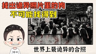 找出诡异照片里的狗？我眼睛都看累了，这不可能找得到！