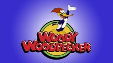 Woody Woodpecker E196