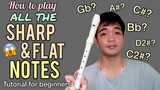 RECORDER FLUTE TUTORIAL 2021 - How to play all the Sharp and Flat Notes