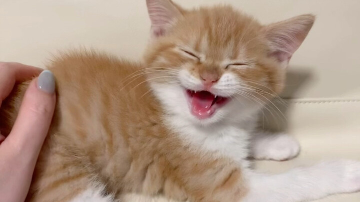 Đây chính là em bé nhỏ do tôi sinh ra!! Quá biết nũng nịu luôn, tim tan chảy mất thôi!!