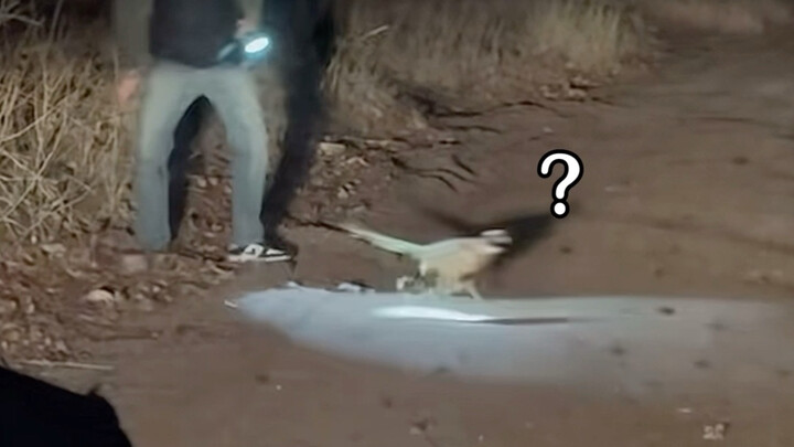 “Manusia adalah hama”