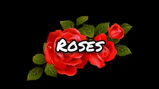 The Chainsmokers - Roses(Lyrics)