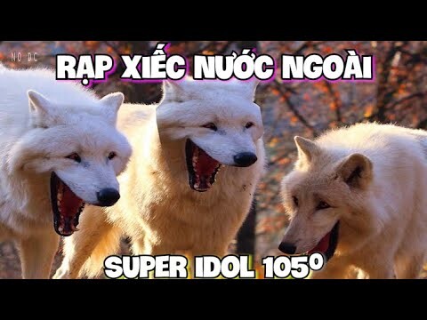 Dạp Siếc Lước Ngoài ??? | BestDestroy