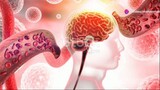 ZenCortex: Natural Supplements for Cognitive Health