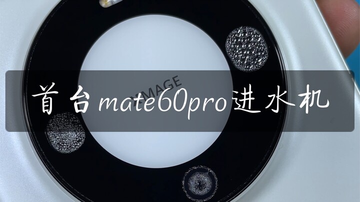 The First Water-Damaged Mate 60 Pro