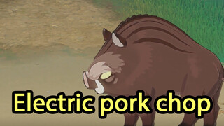 Electric pork chop