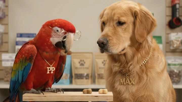 Macaw_and_dog_choosing_treats