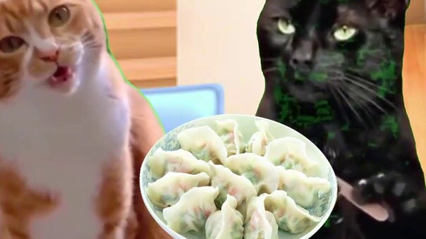 Người nhập cư Trung Quốc làm gì khi tổ chức tiệc? 【Meme mèo】