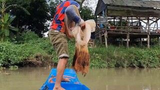 Ra Sông Chài Cá Về Làm Món Cá Hấp Ngó Lục Bình Vừa Thơm Vừa Bùi Cho Buổi Cơm