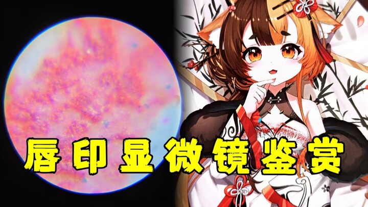 【露露 · 雪糕 · 笙歌 · 白神遥】唇 印 显 微 镜 鉴 赏