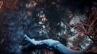 renegade immortal ( Battle of the god ) part 1
