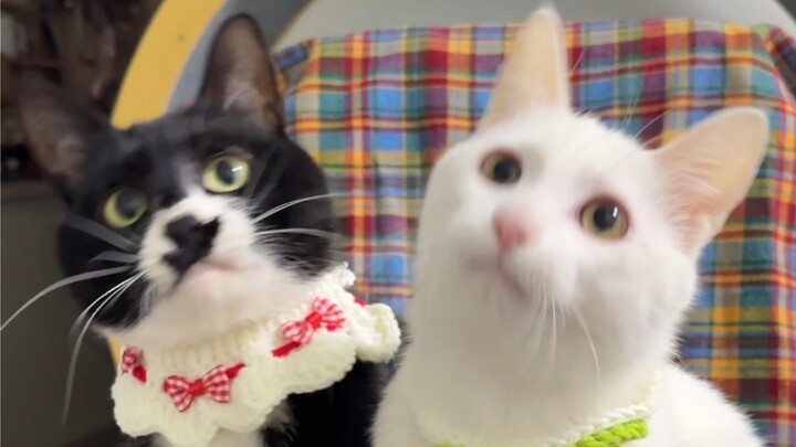 Jangan terus lihat ponsel, ayo gerakkan leher bersama Dazuo Tiaotiao!