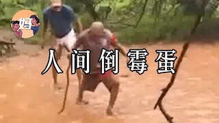 【野生沙雕观察】不会有人一直都这么倒霉...吧...