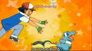Pokemon Tập 195