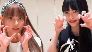 两只小猫Haerin与炽忙恩採ANTIFRAGILE舞蹈挑战