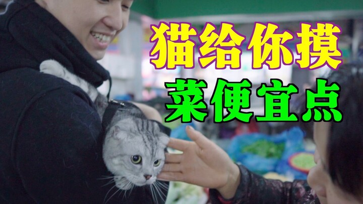 Can taking my cat to the market help me save money on groceries? I always feel like I'm losing out!